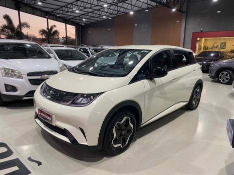 BYD Dolphin 44,9 KW EL�TRICO, Foto 1