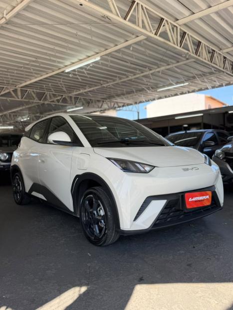 BYD Dolphin Mini 38 KW EL�TRICO GS, Foto 1