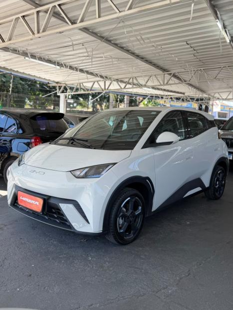 BYD Dolphin Mini 38 KW EL�TRICO GS, Foto 2