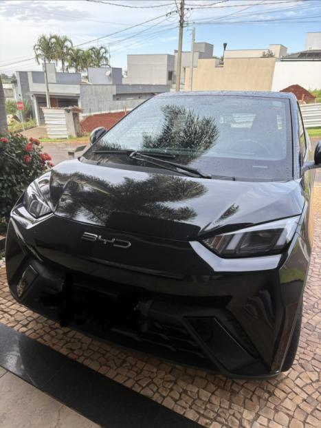 BYD Dolphin Mini 38 KW EL�TRICO, Foto 2