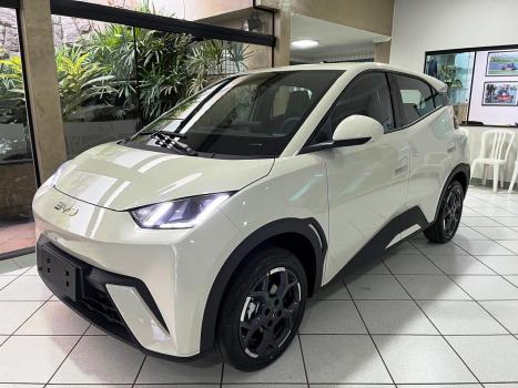 BYD Dolphin Mini 38 KW EL�TRICO GS, Foto 7
