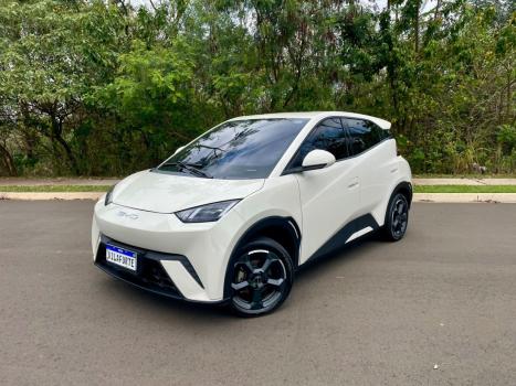 BYD Dolphin Mini 38 KW EL�TRICO GS, Foto 1