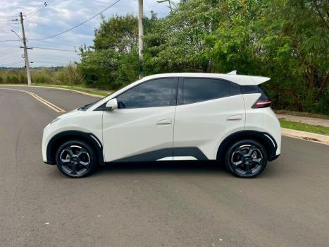 BYD Dolphin Mini 38 KW EL�TRICO GS, Foto 2