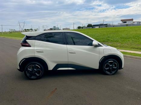 BYD Dolphin Mini 38 KW EL�TRICO GS, Foto 6