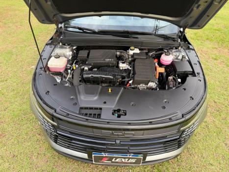 BYD King 1.5 16V 4P GL DM-I PHEV AUTOMÁTICO, Foto 9
