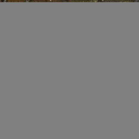 FIAT Bravo 1.8 16V 4P ESSENCE FLEX, Foto 5