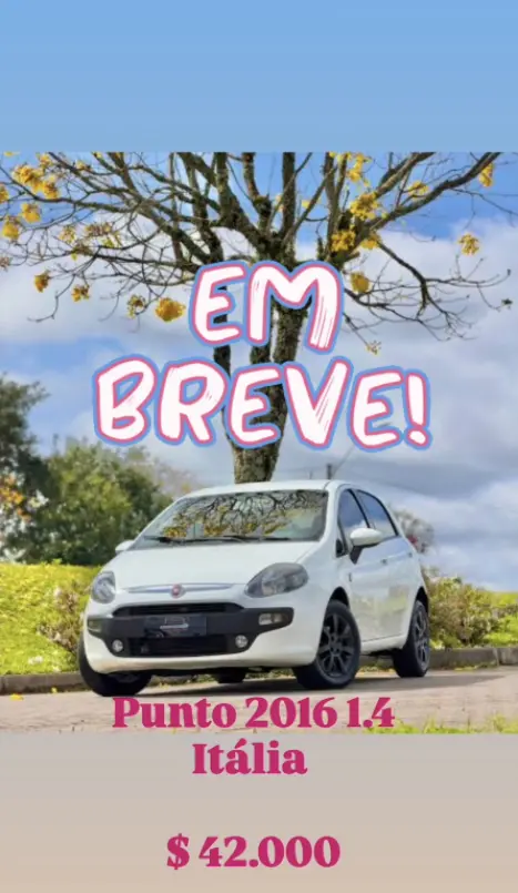 FIAT Punto 1.4 4P FLEX ATTRACTIVE ITALIA, Foto 1