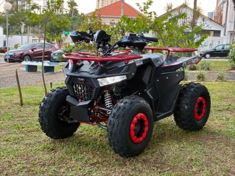 FUN MOTORS Alpha Cross 124 EX , Foto 2