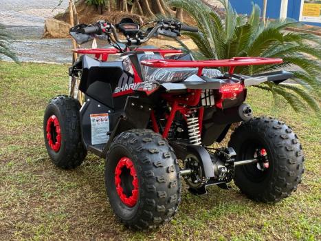 FUN MOTORS Alpha Cross 124 EX , Foto 4