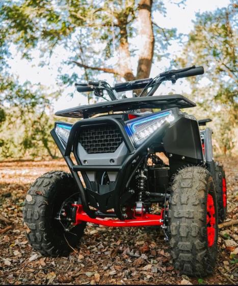 FUN MOTORS Taurus 110 , Foto 4