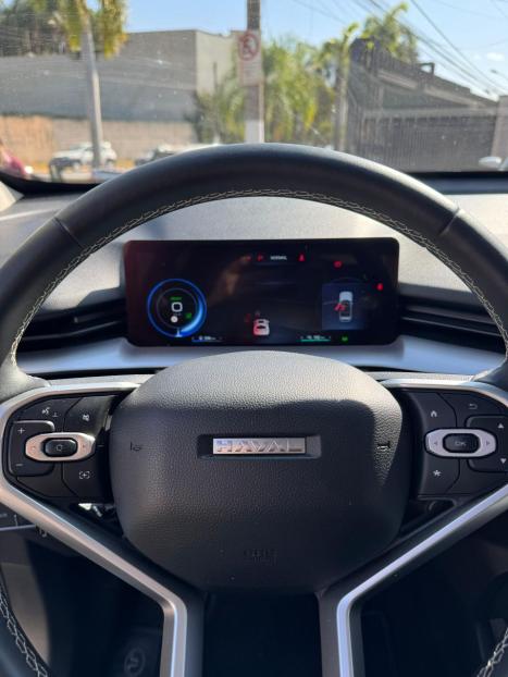 GWM Haval H6 1.5 16V 4P PHEV PREMIUM AWD E-TRACTION AUTOM�TICO, Foto 10