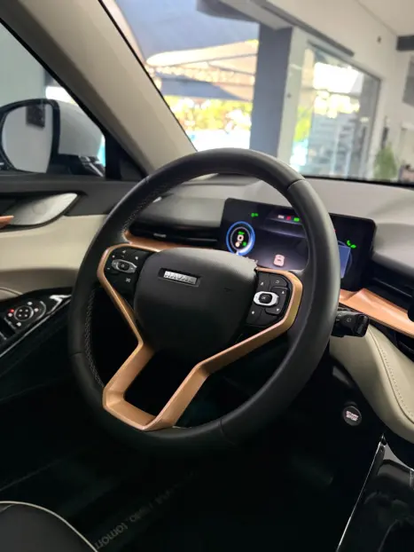 GWM Haval H6 1.5 16V 4P PHEV PREMIUM AWD E-TRACTION AUTOM�TICO, Foto 23