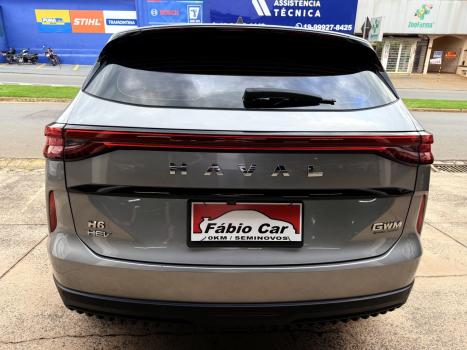 GWM Haval H6 1.5 16V 4P HEV2 PREMIUM AWD E-TRACTION AUTOM�TICO, Foto 6