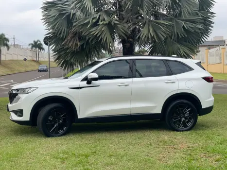 GWM Haval H6 1.5 16V 4P HEV2 PREMIUM E-TRACTION AUTOMÁTICO, Foto 2