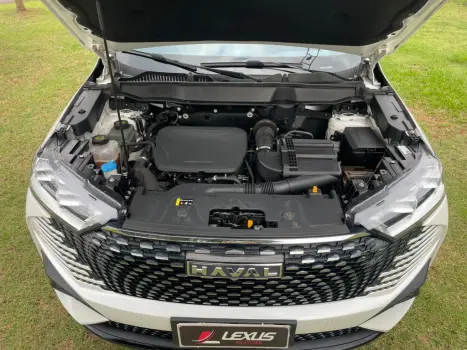GWM Haval H6 1.5 16V 4P HEV2 PREMIUM E-TRACTION AUTOMÁTICO, Foto 11