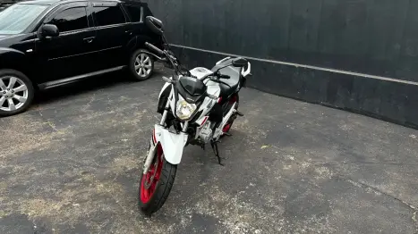 HONDA CB 250 F Twister FLEXONE, Foto 2