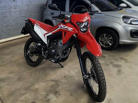 HONDA XR 300 L Tornado , Foto 2