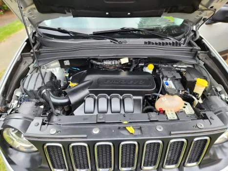 JEEP Renegade 1.8 16V 4P FLEX SPORT, Foto 7