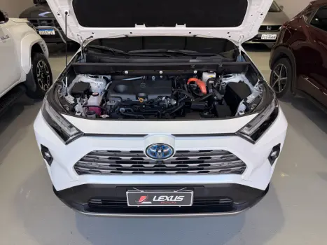 TOYOTA RAV 4 2.5 16V 4P SX HIBRID AWD AUTOM�TICO CVT, Foto 9