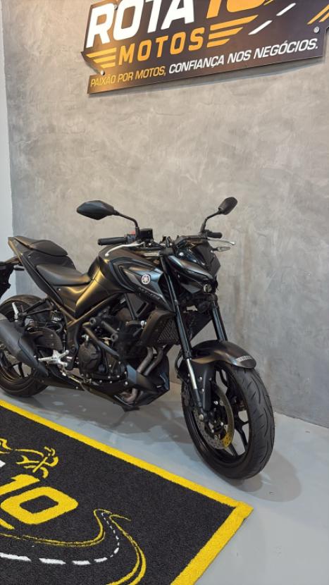 YAMAHA MT-03 300 ABS, Foto 2