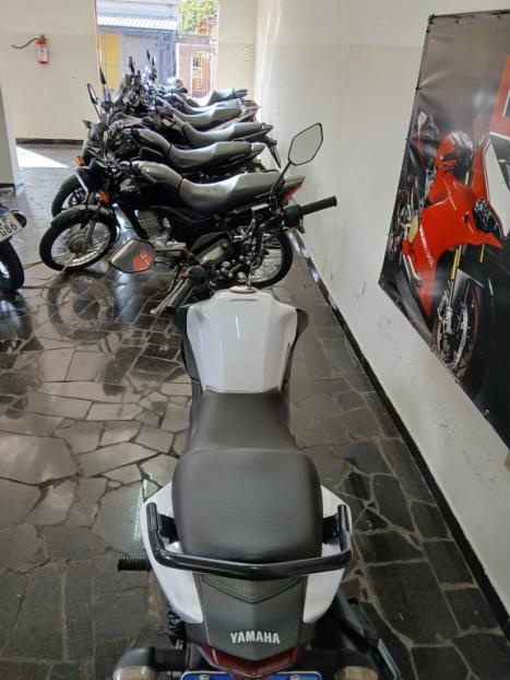 YAMAHA YBR 150 FACTOR ED FLEX, Foto 4