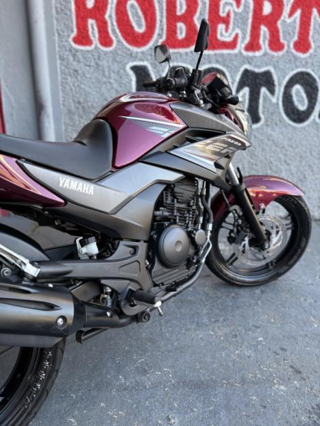 YAMAHA YS Fazer 250 BLUE FLEX, Foto 5