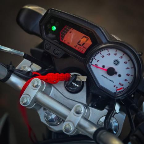 YAMAHA YS Fazer 250 LIMITED EDITION, Foto 2
