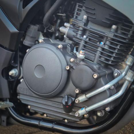 YAMAHA YS Fazer 250 LIMITED EDITION, Foto 3