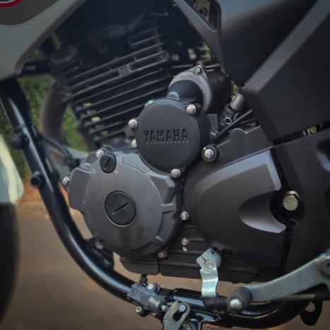 YAMAHA YS Fazer 250 LIMITED EDITION, Foto 7