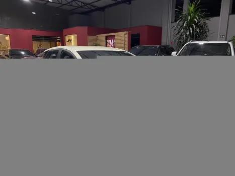 BYD Dolphin 44,9 KW ELTRICO, Foto 2