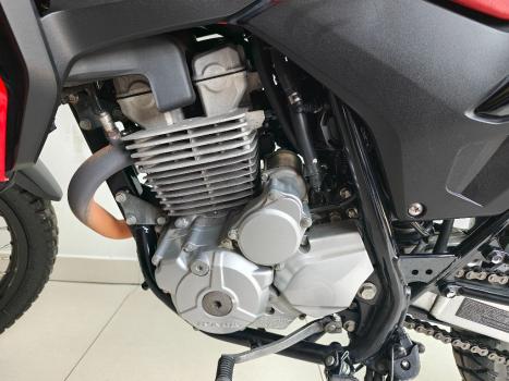 HONDA XRE 300 RALLY ABS, Foto 5
