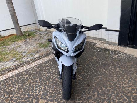KAWASAKI Ninja 300 , Foto 2