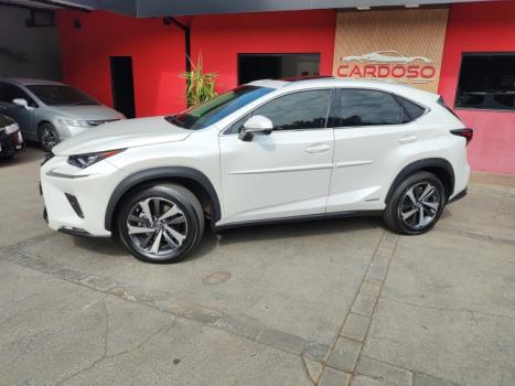 LEXUS NX 300 H 2.5 16V 4P VVT-I HYBRID LUXURY AWD AUTOMTICO CVT, Foto 2