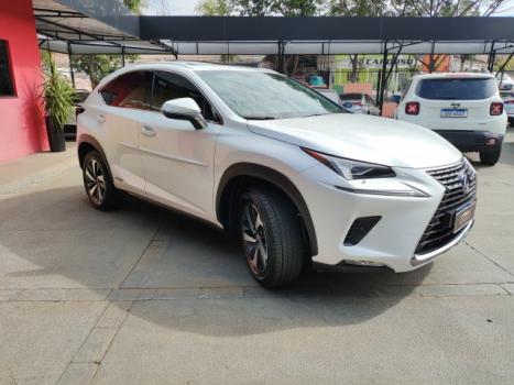 LEXUS NX 300 H 2.5 16V 4P VVT-I HYBRID LUXURY AWD AUTOMTICO CVT, Foto 3