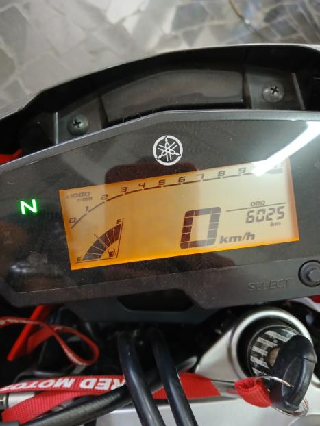 YAMAHA Lander 250 , Foto 4