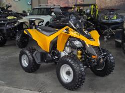 BRP CAN-AM DS 250 