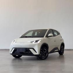 BYD Dolphin Mini 38 KW ELÉTRICO GS