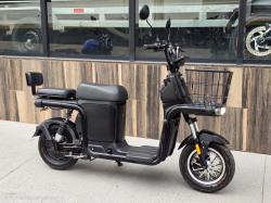 FLY ELETRICS Fly 09 1000W