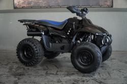 POLARIS Xplorer 300 