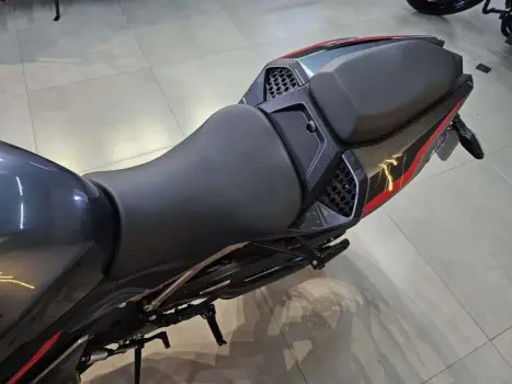 BMW S 1000 RR, Foto 9