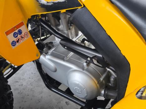 BRP CAN-AM DS 250 , Foto 2