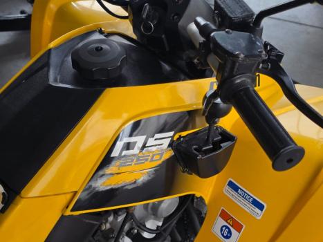 BRP CAN-AM DS 250 , Foto 4