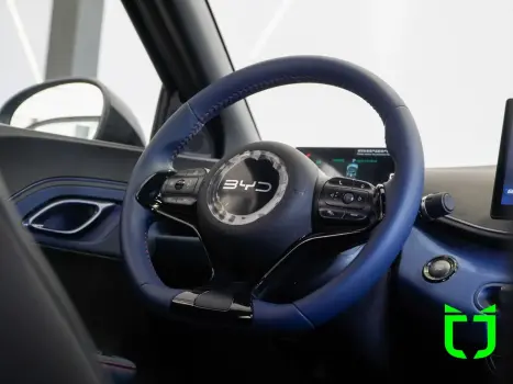 BYD Dolphin Mini 38 KW ELTRICO, Foto 16