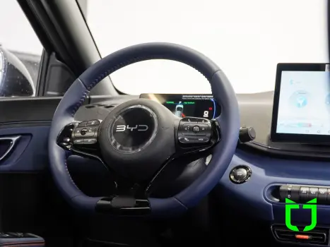 BYD Dolphin Mini 38 KW ELTRICO, Foto 14