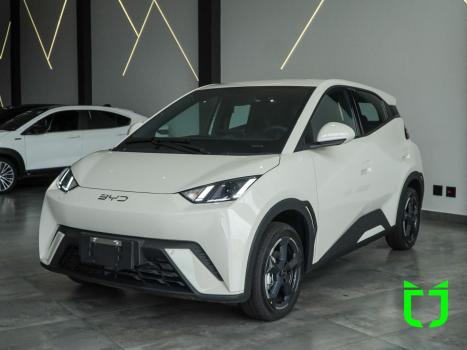 BYD Dolphin Mini 38 KW EL�TRICO, Foto 3