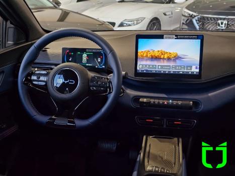 BYD Dolphin Mini 38 KW EL�TRICO, Foto 11