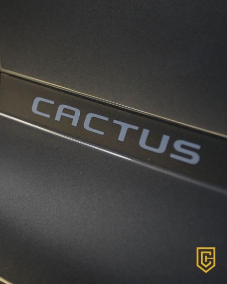 CITROEN C4 Cactus 1.6 16V 4P VTI 120 FLEX X-SERIES AUTOM�TICO, Foto 12