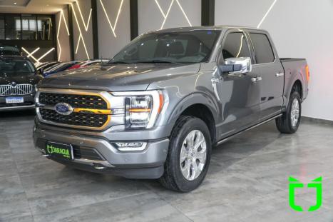 FORD F-150 5.0 V8 24V FX4 PLATINUM CABINE DUPLA AUTOMÁTICO, Foto 3