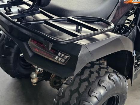 FUN MOTORS Farmer 200 , Foto 4