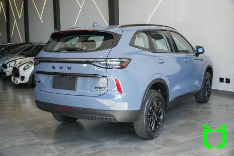 GWM Haval H6 1.5 16V 4P HEV2 PREMIUM AWD E-TRACTION AUTOM�TICO, Foto 7